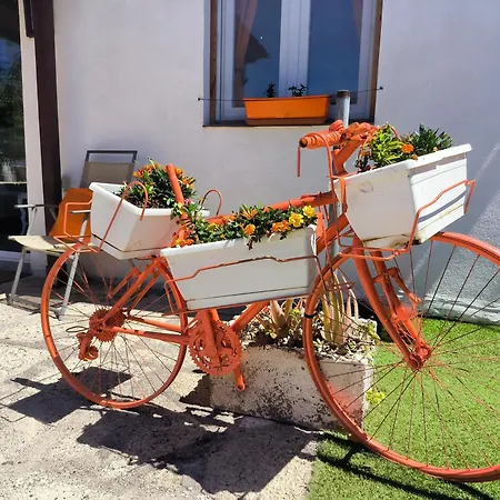 Daita 1 Alpesi faház Granadilla de Abona