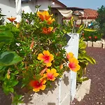 Daita 1 格拉纳迪利亚-德阿沃纳