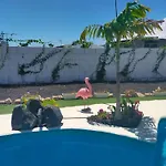 Daita 1